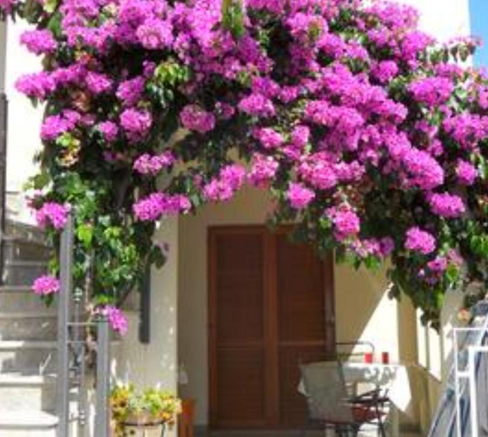 Milin By The Sea-zadar-diklo *