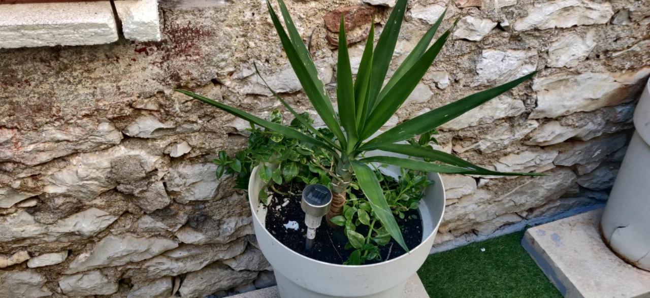 Milin By The Sea-zadar-diklo Apartment
